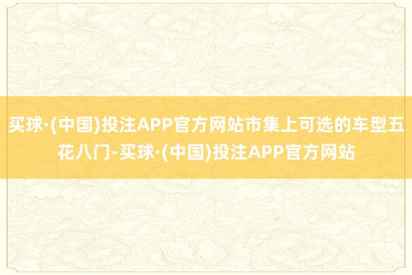 买球·(中国)投注APP官方网站市集上可选的车型五花八门-买球·(中国)投注APP官方网站