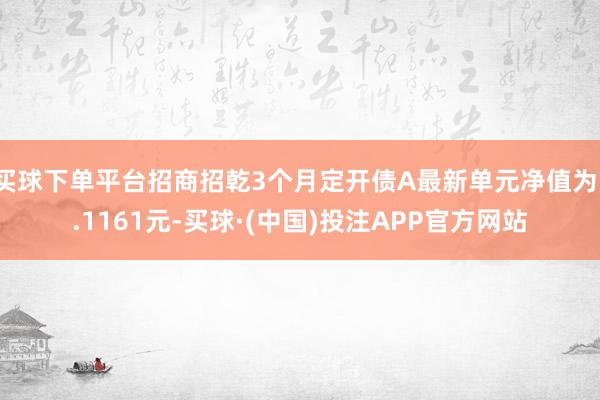 买球下单平台招商招乾3个月定开债A最新单元净值为1.1161元-买球·(中国)投注APP官方网站