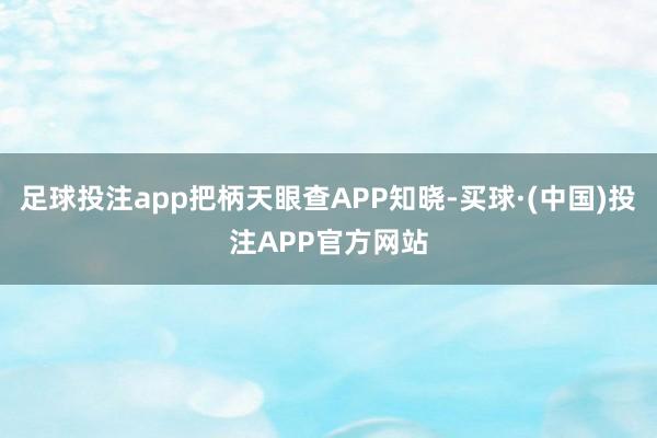 足球投注app把柄天眼查APP知晓-买球·(中国)投注APP官方网站