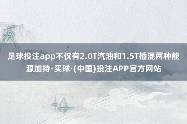 足球投注app不仅有2.0T汽油和1.5T插混两种能源加持-买球·(中国)投注APP官方网站