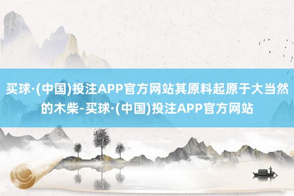 买球·(中国)投注APP官方网站其原料起原于大当然的木柴-买球·(中国)投注APP官方网站