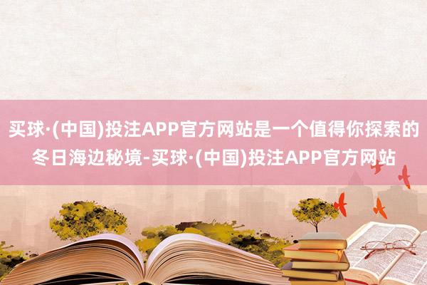 买球·(中国)投注APP官方网站是一个值得你探索的冬日海边秘境-买球·(中国)投注APP官方网站