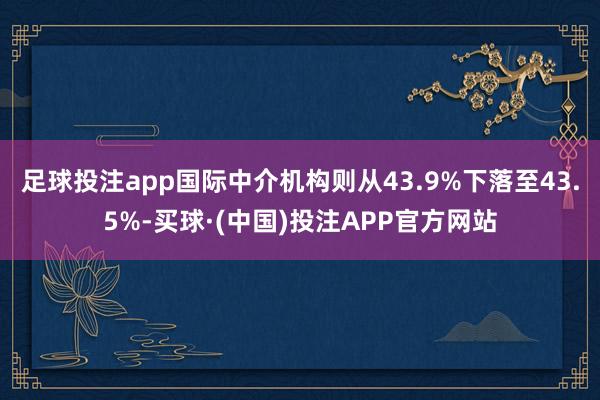 足球投注app国际中介机构则从43.9%下落至43.5%-买球·(中国)投注APP官方网站