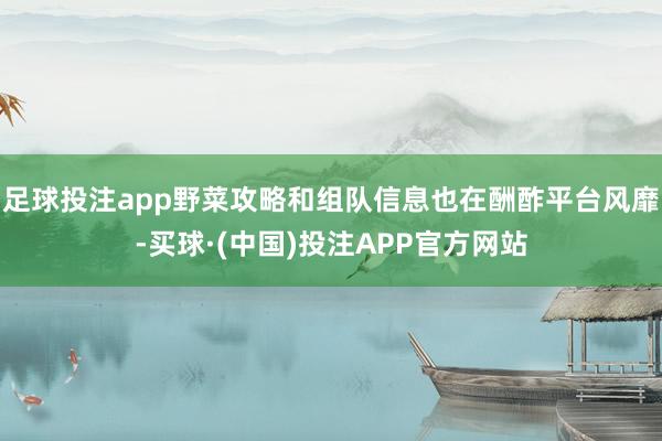 足球投注app野菜攻略和组队信息也在酬酢平台风靡-买球·(中国)投注APP官方网站