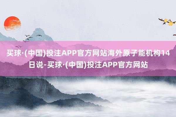 买球·(中国)投注APP官方网站海外原子能机构14日说-买球·(中国)投注APP官方网站