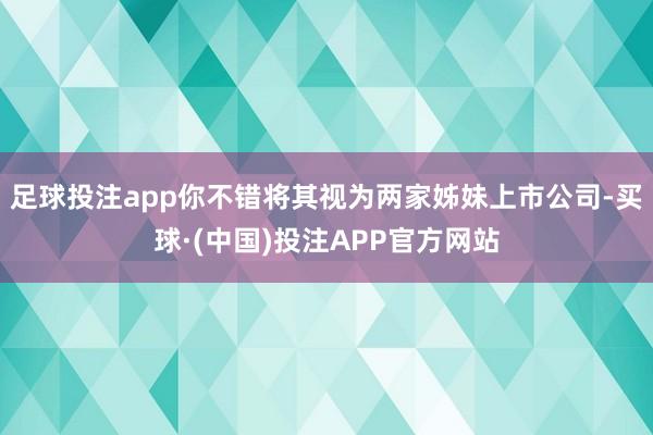 足球投注app你不错将其视为两家姊妹上市公司-买球·(中国)投注APP官方网站