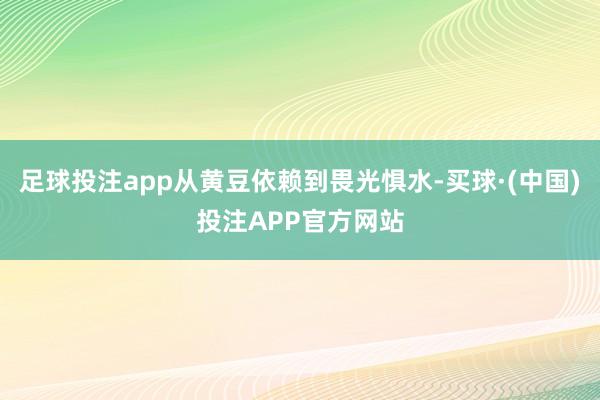 足球投注app从黄豆依赖到畏光惧水-买球·(中国)投注APP官方网站