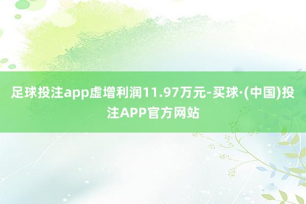 足球投注app虚增利润11.97万元-买球·(中国)投注APP官方网站