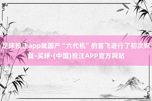 足球投注app就国产“六代机”的首飞进行了初次恢复-买球·(中国)投注APP官方网站