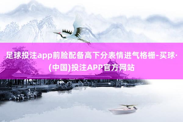 足球投注app前脸配备高下分表情进气格栅-买球·(中国)投注APP官方网站