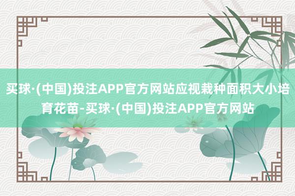 买球·(中国)投注APP官方网站应视栽种面积大小培育花苗-买球·(中国)投注APP官方网站