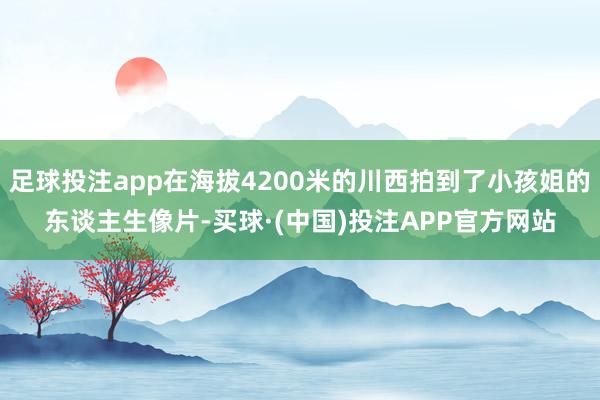 足球投注app在海拔4200米的川西拍到了小孩姐的东谈主生像片-买球·(中国)投注APP官方网站