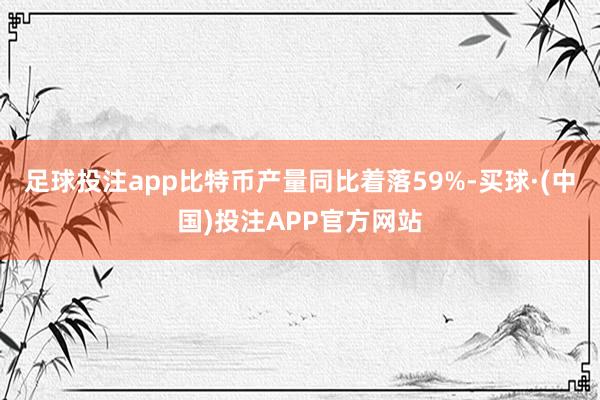 足球投注app比特币产量同比着落59%-买球·(中国)投注APP官方网站