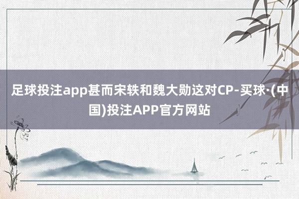 足球投注app甚而宋轶和魏大勋这对CP-买球·(中国)投注APP官方网站