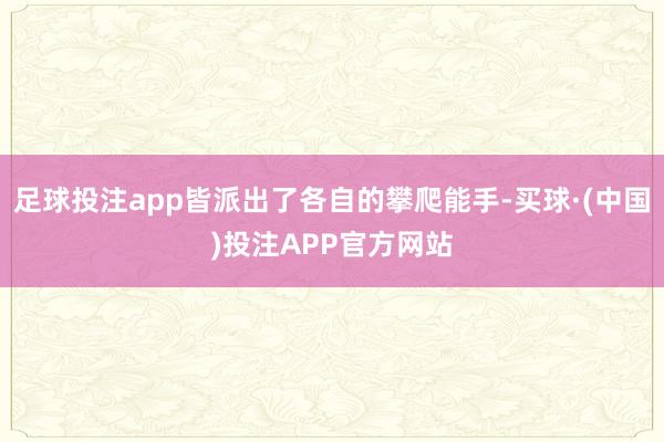 足球投注app皆派出了各自的攀爬能手-买球·(中国)投注APP官方网站