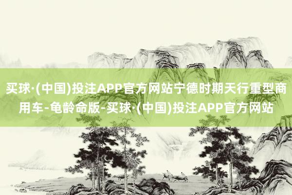 买球·(中国)投注APP官方网站宁德时期天行重型商用车-龟龄命版-买球·(中国)投注APP官方网站