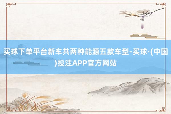 买球下单平台新车共两种能源五款车型-买球·(中国)投注APP官方网站