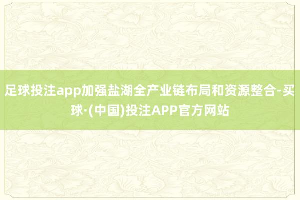 足球投注app加强盐湖全产业链布局和资源整合-买球·(中国)投注APP官方网站