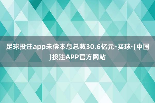 足球投注app未偿本息总数30.6亿元-买球·(中国)投注APP官方网站