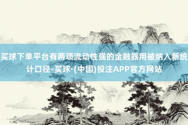 买球下单平台有两项流动性强的金融器用被纳入新统计口径-买球·(中国)投注APP官方网站