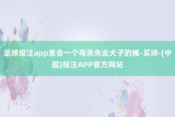 足球投注app意会一个母亲失去犬子的痛-买球·(中国)投注APP官方网站
