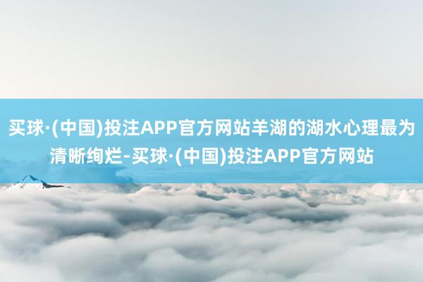 买球·(中国)投注APP官方网站羊湖的湖水心理最为清晰绚烂-买球·(中国)投注APP官方网站