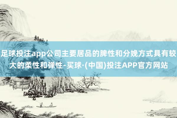 足球投注app公司主要居品的脾性和分娩方式具有较大的柔性和弹性-买球·(中国)投注APP官方网站