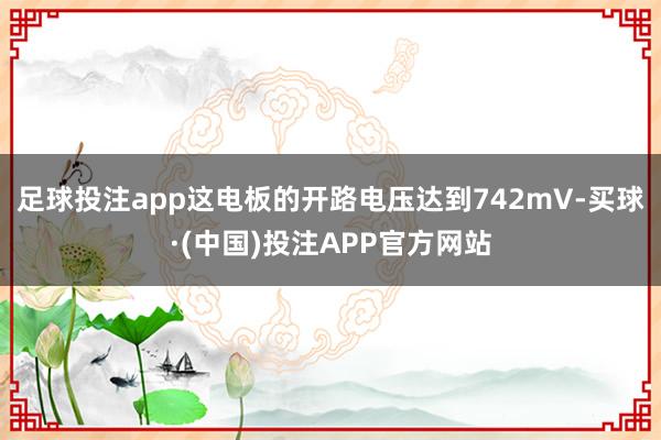 足球投注app这电板的开路电压达到742mV-买球·(中国)投注APP官方网站