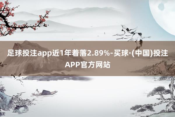 足球投注app近1年着落2.89%-买球·(中国)投注APP官方网站