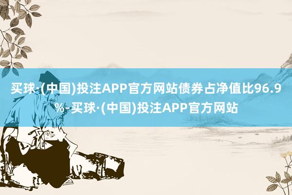 买球·(中国)投注APP官方网站债券占净值比96.9%-买球·(中国)投注APP官方网站