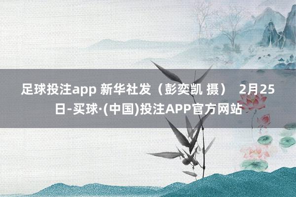 足球投注app 　　新华社发（彭奕凯 摄）  　　2月25日-买球·(中国)投注APP官方网站