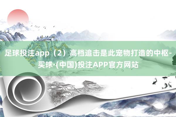 足球投注app（2）高档追击是此宠物打造的中枢-买球·(中国)投注APP官方网站