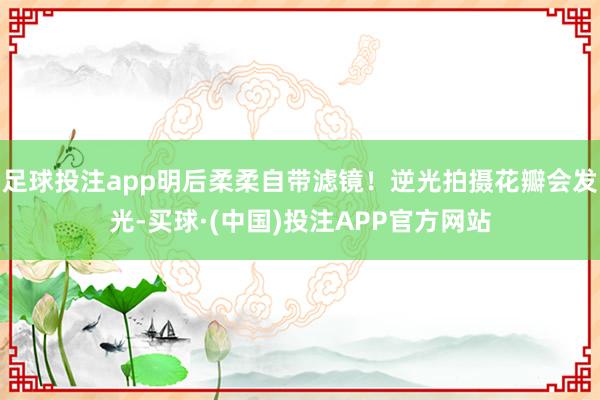 足球投注app明后柔柔自带滤镜!逆光拍摄花瓣会发光-买球·(中国)投注APP官方网站