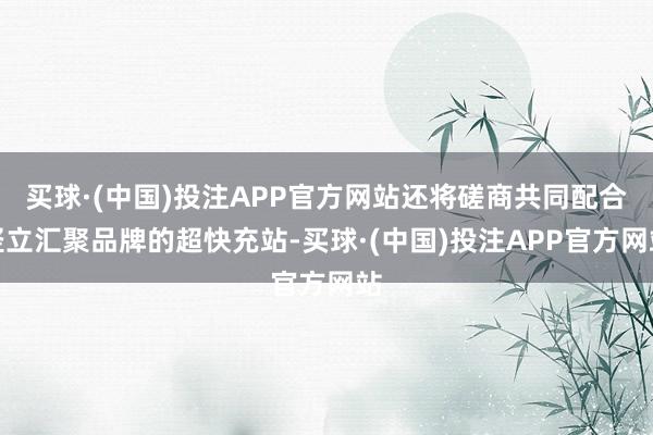 买球·(中国)投注APP官方网站还将磋商共同配合竖立汇聚品牌的超快充站-买球·(中国)投注APP官方网站