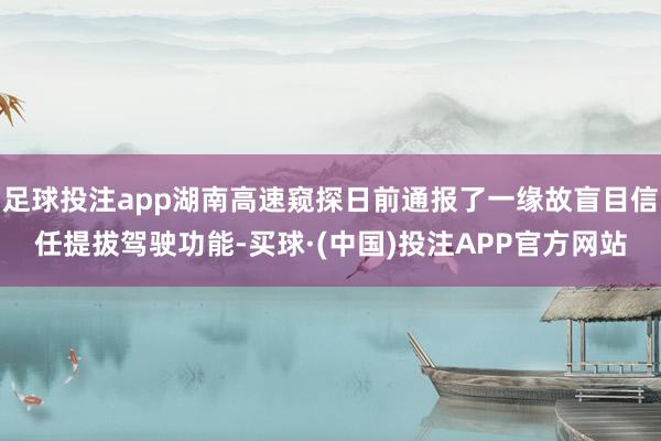 足球投注app湖南高速窥探日前通报了一缘故盲目信任提拔驾驶功能-买球·(中国)投注APP官方网站