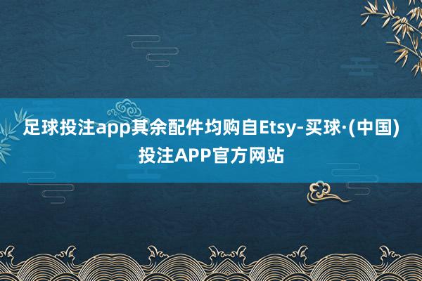 足球投注app其余配件均购自Etsy-买球·(中国)投注APP官方网站