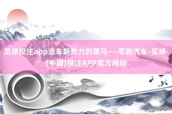 足球投注app造车新势力的黑马——零跑汽车-买球·(中国)投注APP官方网站