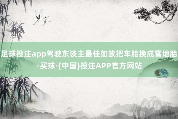 足球投注app驾驶东谈主最佳如故把车胎换成雪地胎-买球·(中国)投注APP官方网站