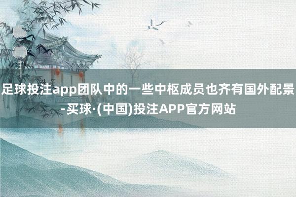 足球投注app团队中的一些中枢成员也齐有国外配景-买球·(中国)投注APP官方网站