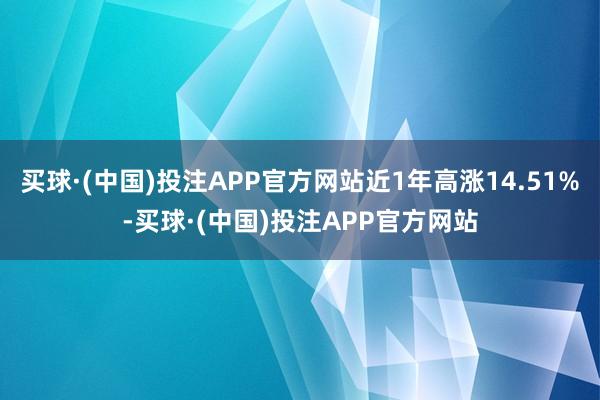 买球·(中国)投注APP官方网站近1年高涨14.51%-买球·(中国)投注APP官方网站