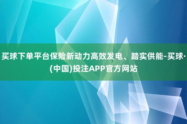 买球下单平台保险新动力高效发电、踏实供能-买球·(中国)投注APP官方网站