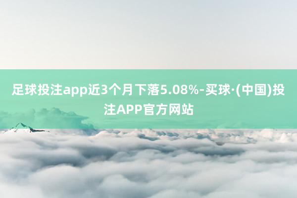 足球投注app近3个月下落5.08%-买球·(中国)投注APP官方网站