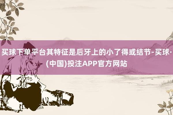 买球下单平台其特征是后牙上的小了得或结节-买球·(中国)投注APP官方网站