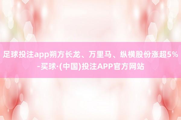 足球投注app朔方长龙、万里马、纵横股份涨超5%-买球·(中国)投注APP官方网站