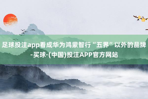 足球投注app看成华为鸿蒙智行“五界”以外的品牌-买球·(中国)投注APP官方网站