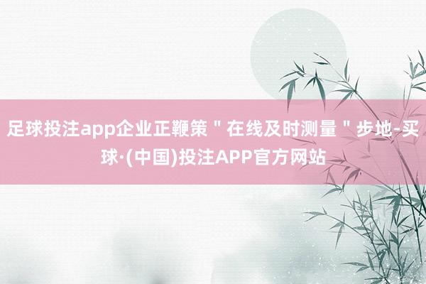 足球投注app企业正鞭策＂在线及时测量＂步地-买球·(中国)投注APP官方网站