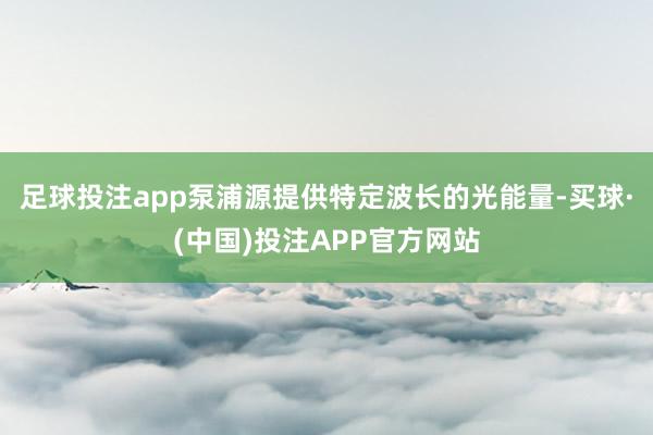足球投注app泵浦源提供特定波长的光能量-买球·(中国)投注APP官方网站