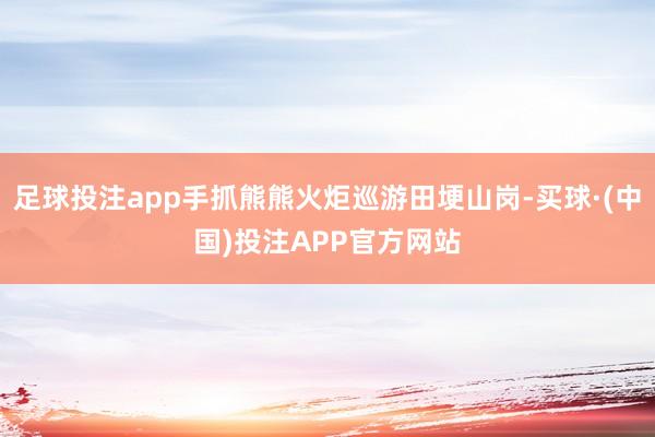 足球投注app手抓熊熊火炬巡游田埂山岗-买球·(中国)投注APP官方网站