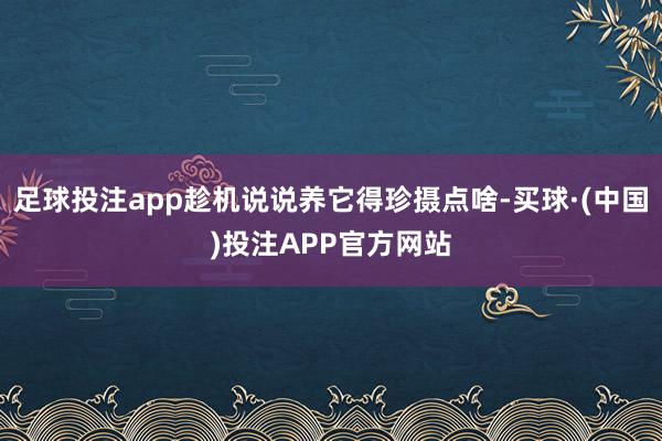足球投注app趁机说说养它得珍摄点啥-买球·(中国)投注APP官方网站