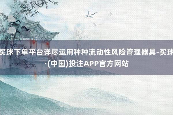 买球下单平台详尽运用种种流动性风险管理器具-买球·(中国)投注APP官方网站